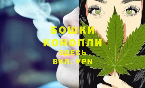 гидра Бронницы