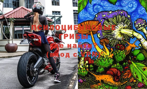гидра Бронницы