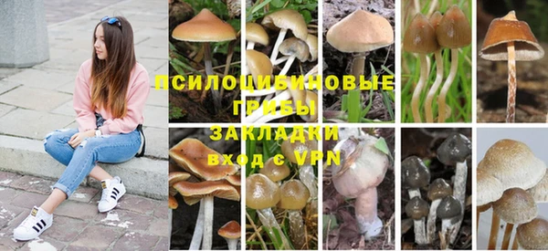 гидра Бронницы