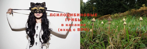 гидра Бронницы